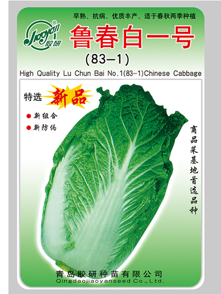鲁春白一号（83-1）——秋播白菜